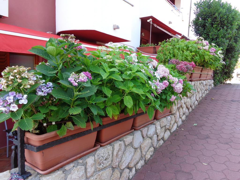 Apartmani Adrijan Krk Krk Town Exterior photo