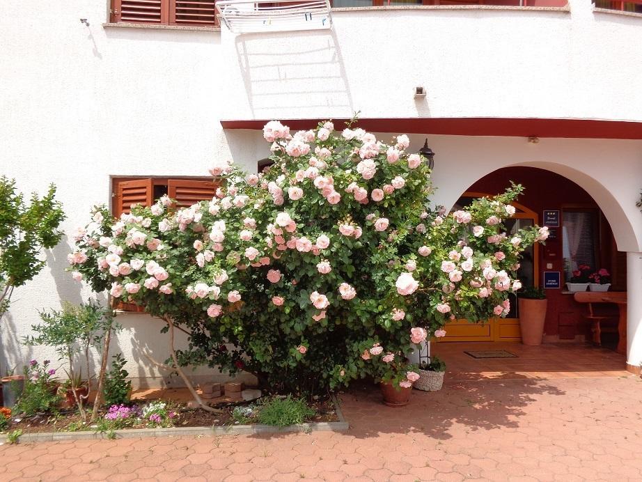 Apartmani Adrijan Krk Krk Town Exterior photo